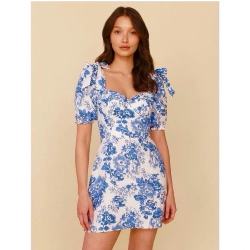 Reformation Blue and White Floral Mini Dress